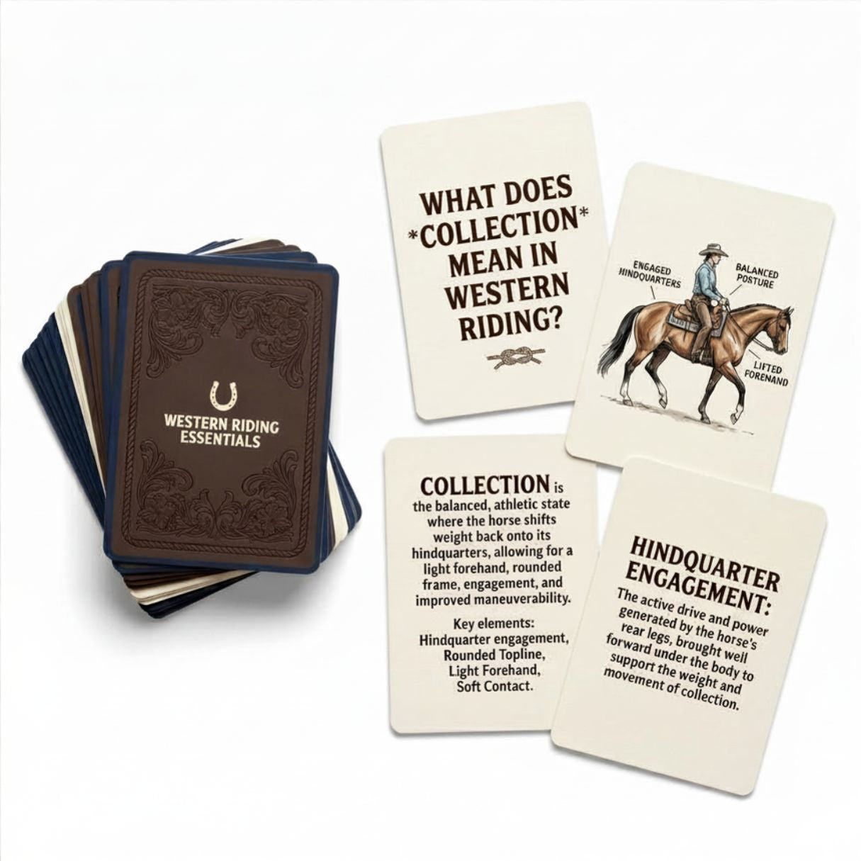 Set of educational cards about western riding techniques on a white background