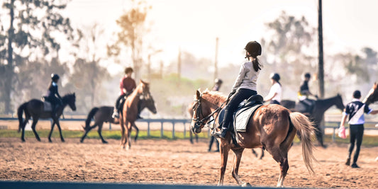 How to Manage a Calm, Focused Lesson When You Have 5 Students and One Arena