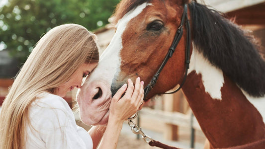 What Horses Teach Us About Patience