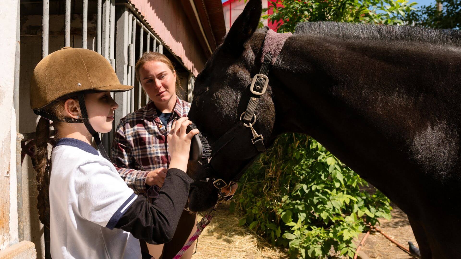 Lesson Stables Best Horse Riding Lesson Plans for Instructors | Keep Students Engaged ...