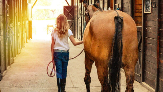 10 Safety Habits Every Riding School Should Teach