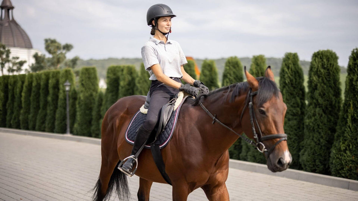 Best Horse Riding Lesson Plans for Instructors | Keep Students Engaged ...