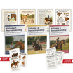 Best Horse Riding Lesson Plans for Instructors | Keep Students Engaged ...