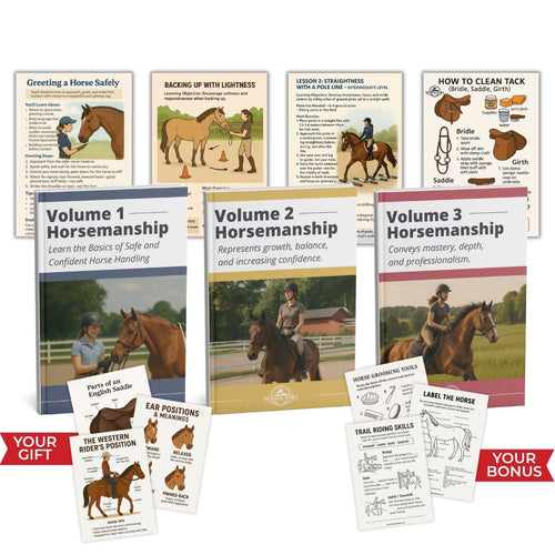 Set of horseback riding books and educational cards on a white background