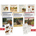 Best Horse Riding Lesson Plans for Instructors | Keep Students Engaged ...