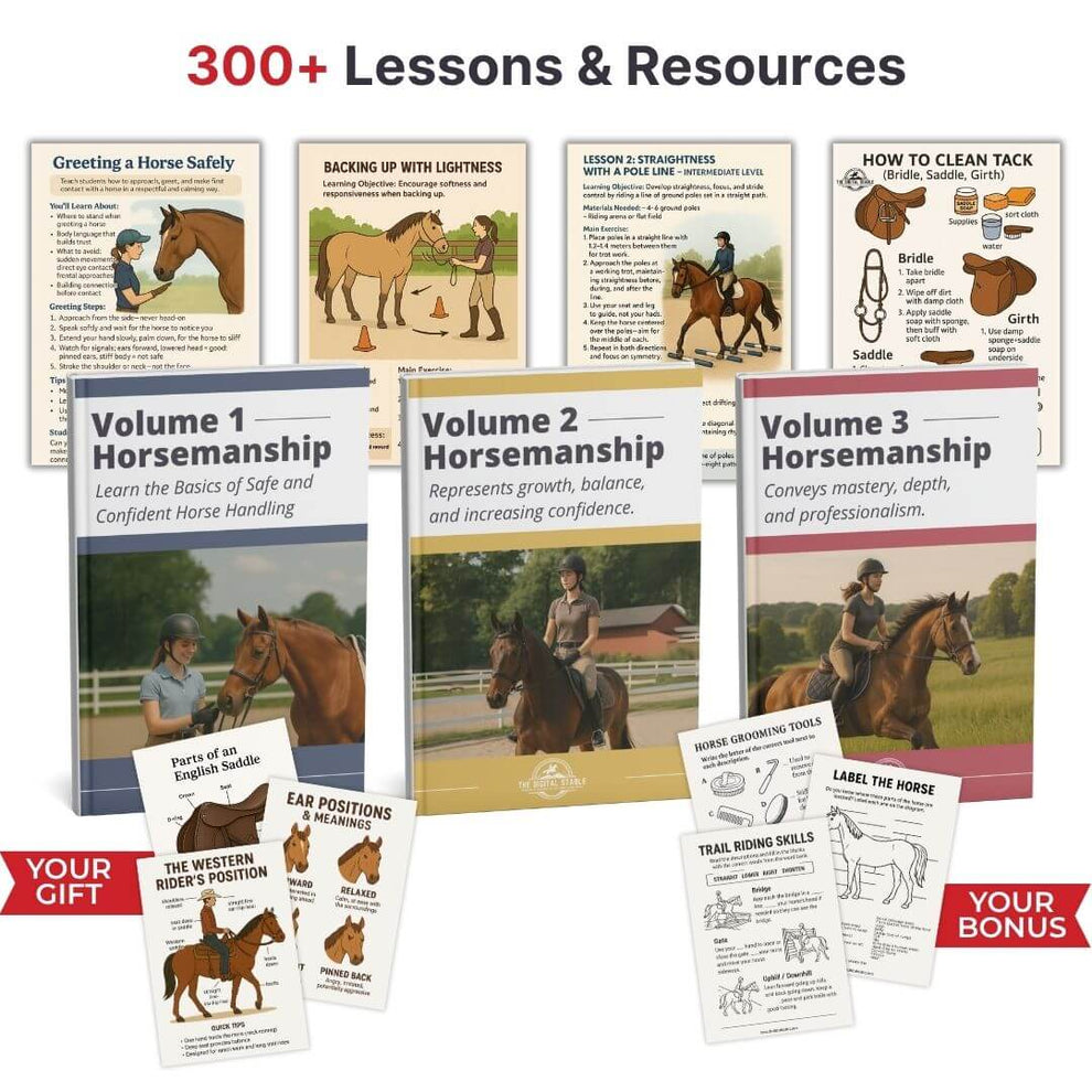 How to Teach Your Horse to Yield to Subtle Pressure (Without Pulling o ...