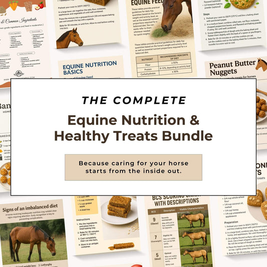 The Complete Equine Nutrition & Treats Bundle