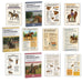 Best Horse Riding Lesson Plans for Instructors | Keep Students Engaged ...