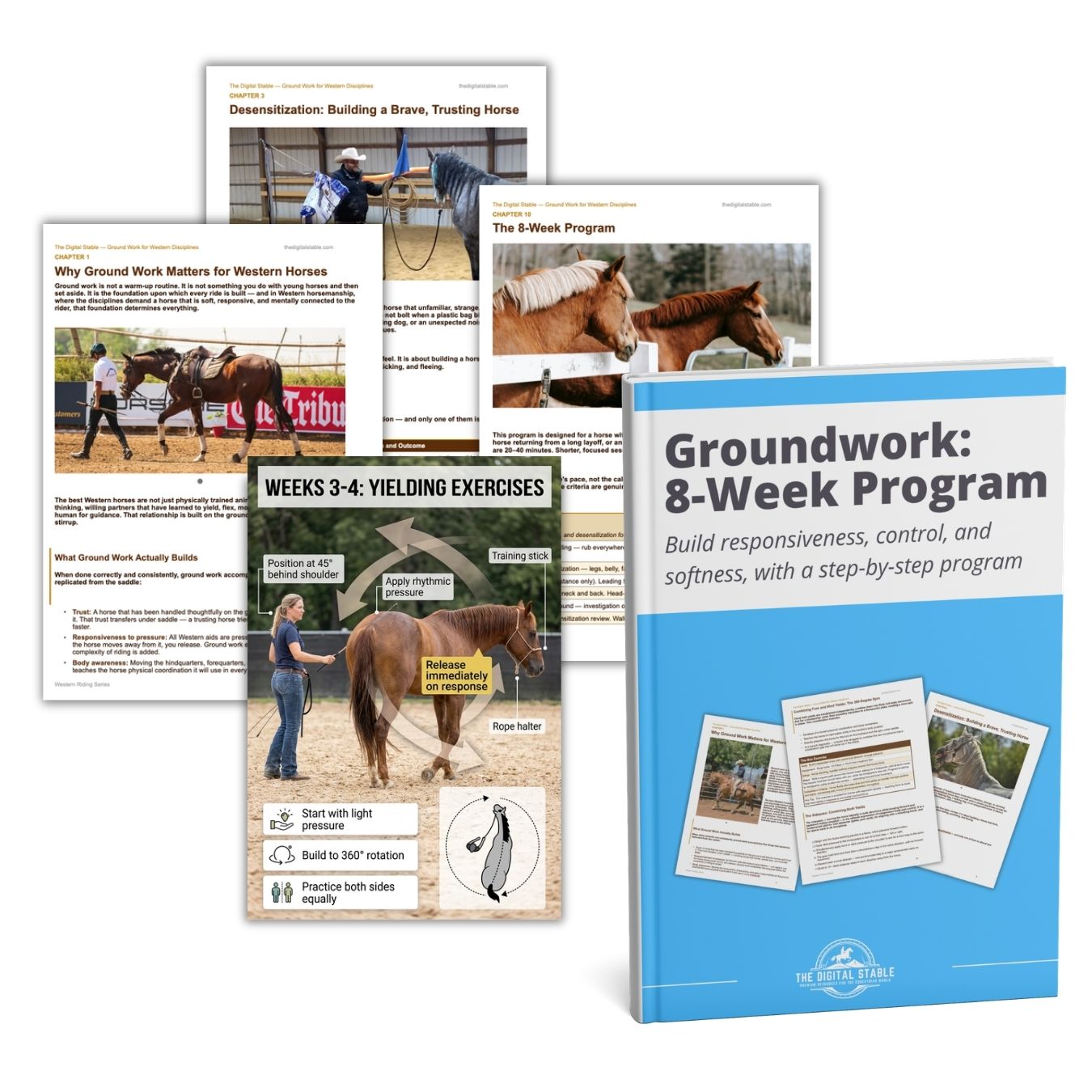 Horse training program manual with images of horses and text on a white background